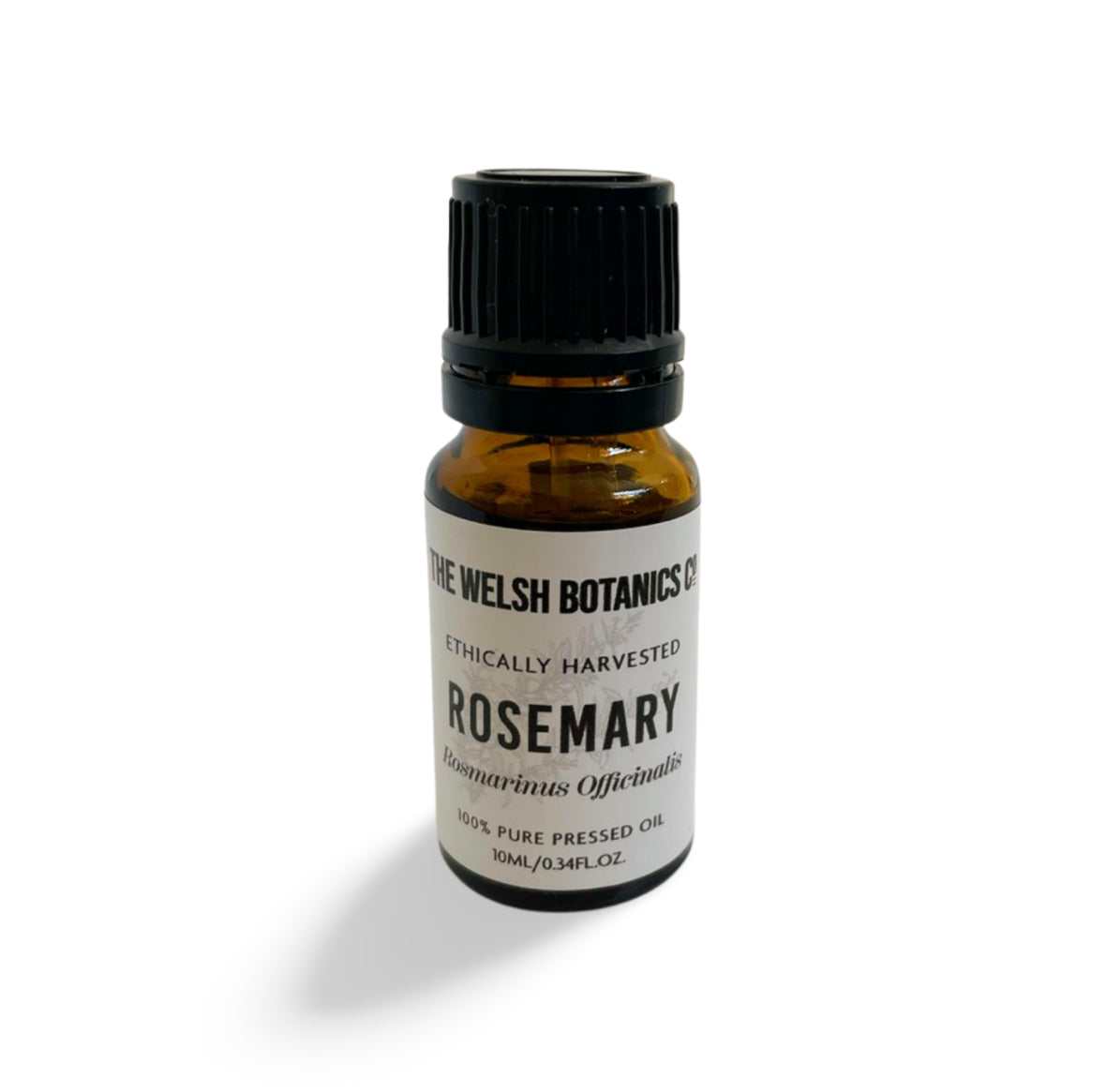 ROSEMARY- ROSMARINUS OFFICINALIS 100% PURE ESSENTIAL OIL