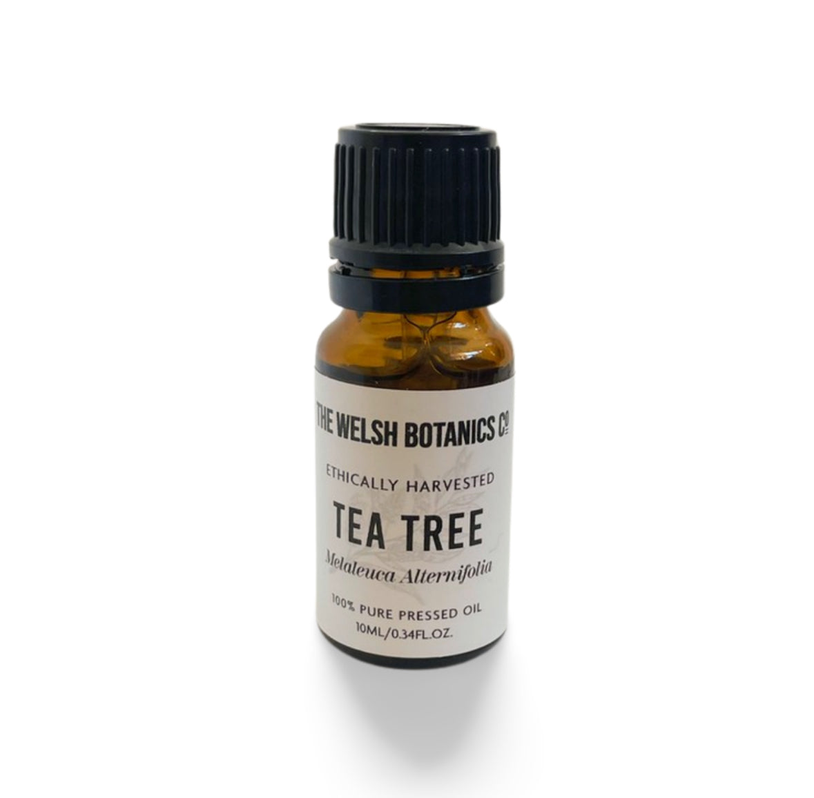 TEA TREE- MELALEUCA ALTERNIFOLIA 100% PURE ESSENTIAL OIL